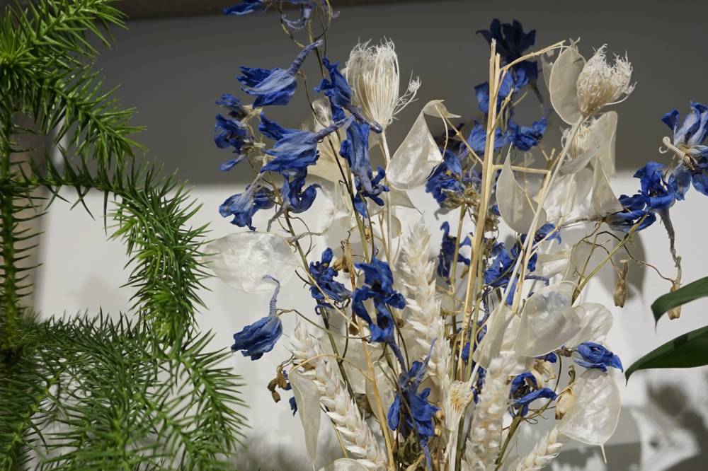 fleurs séchées Thorigné-Fouillard